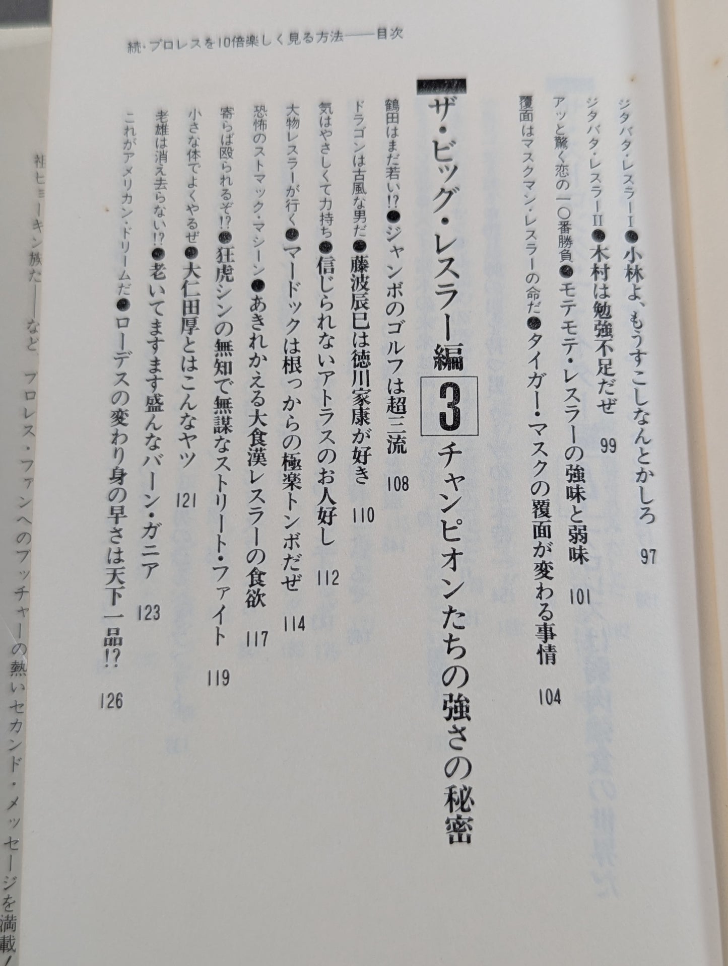 続・プロレスを10倍楽しく見る方法