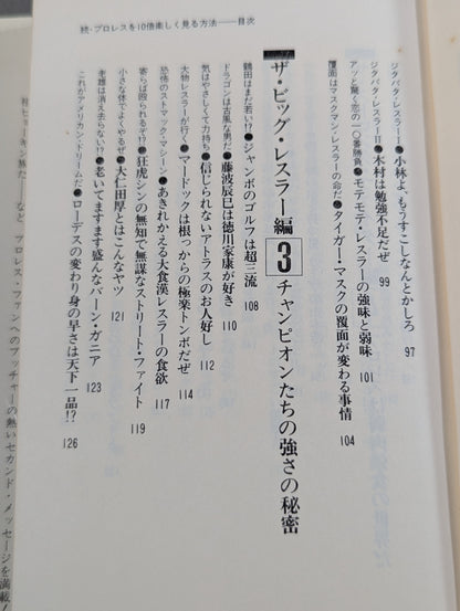 続・プロレスを10倍楽しく見る方法