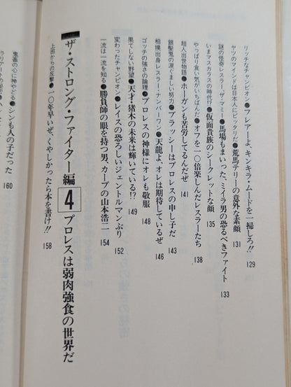 続・プロレスを10倍楽しく見る方法