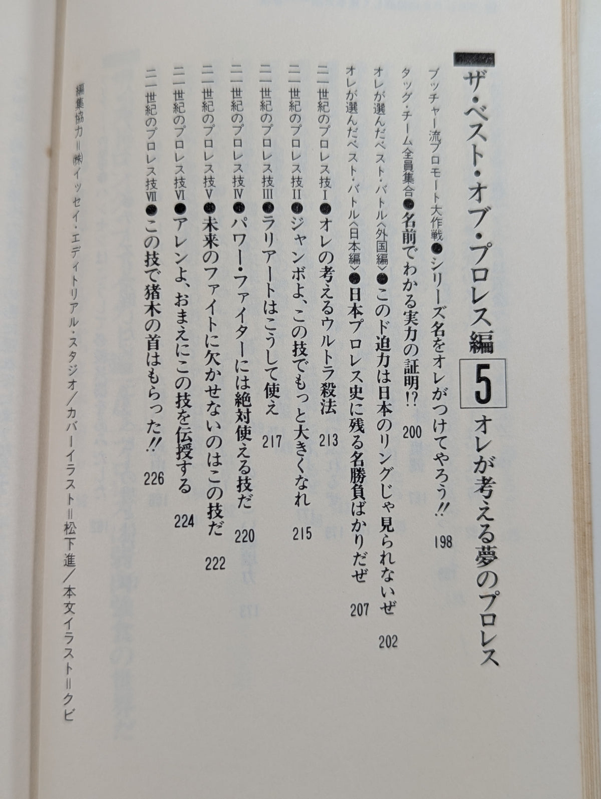 続・プロレスを10倍楽しく見る方法