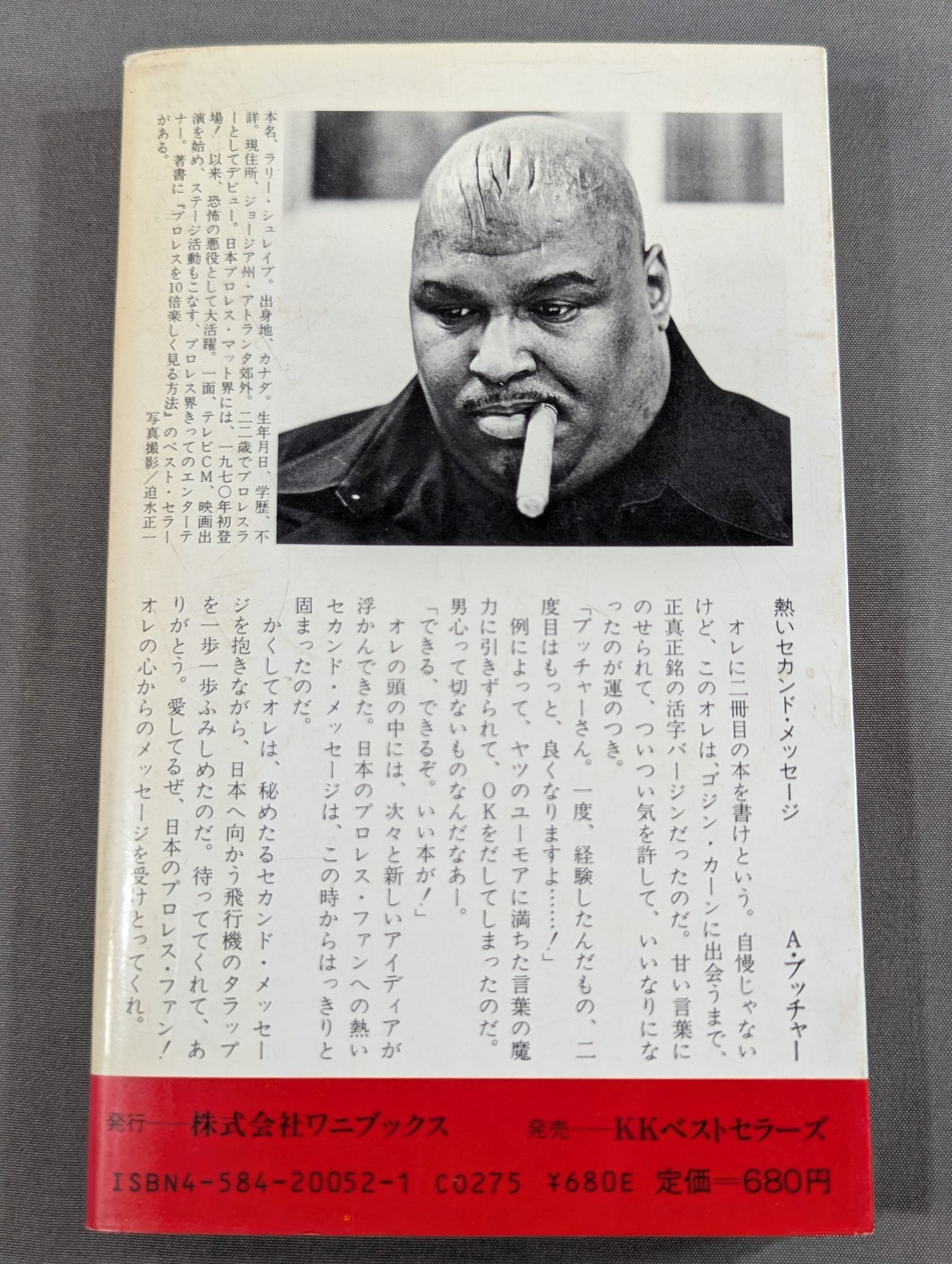 続・プロレスを10倍楽しく見る方法