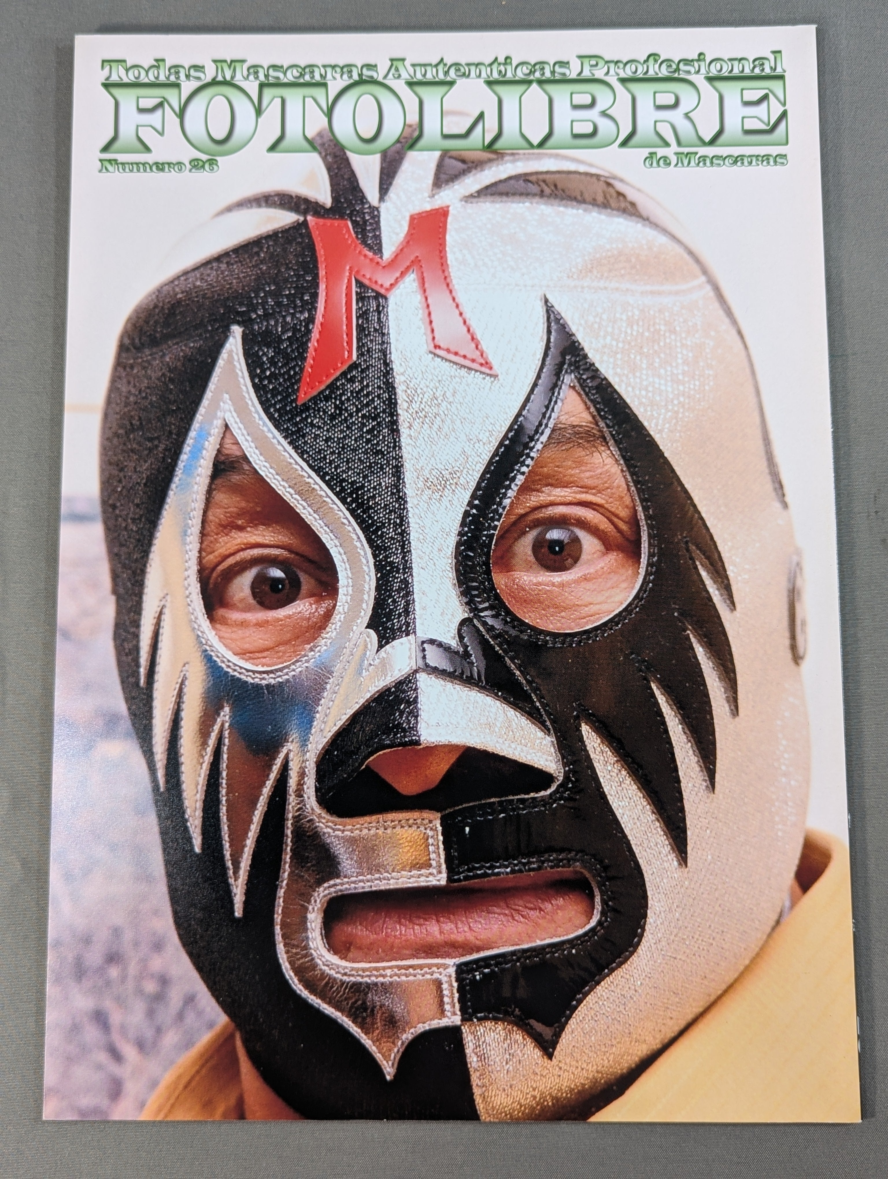 FOTOLIBRE de Mascara Numero.26 – 闘道館
