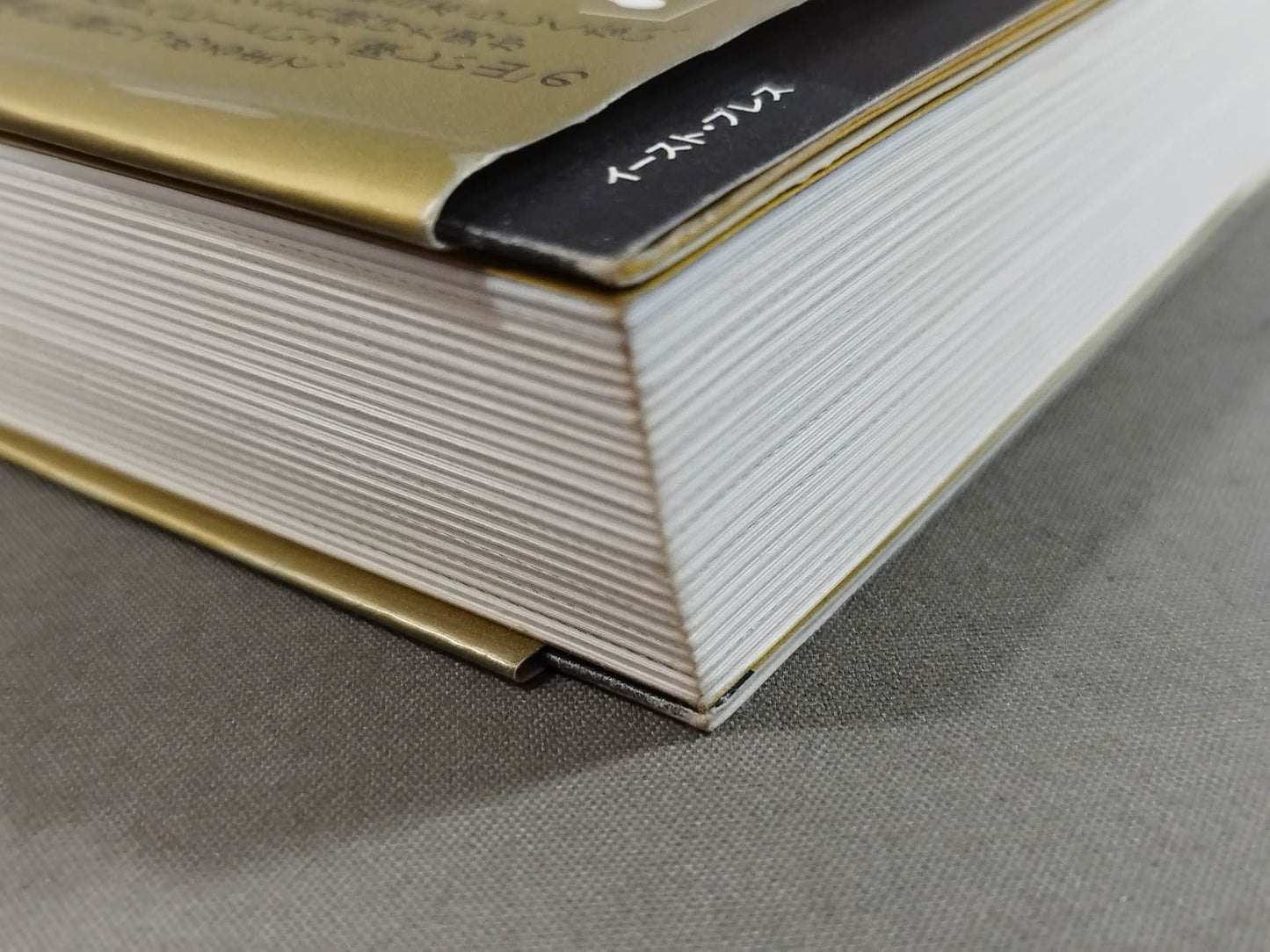 HIGH LIFE Hiroshi Tanahashi  Autobiography I.