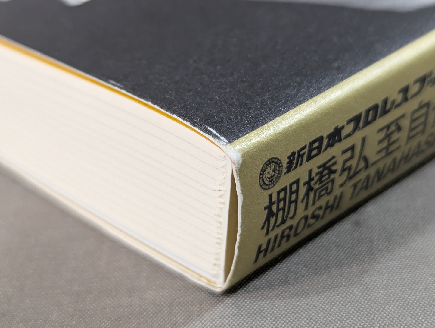 HIGH LIFE Hiroshi Tanahashi  Autobiography I.