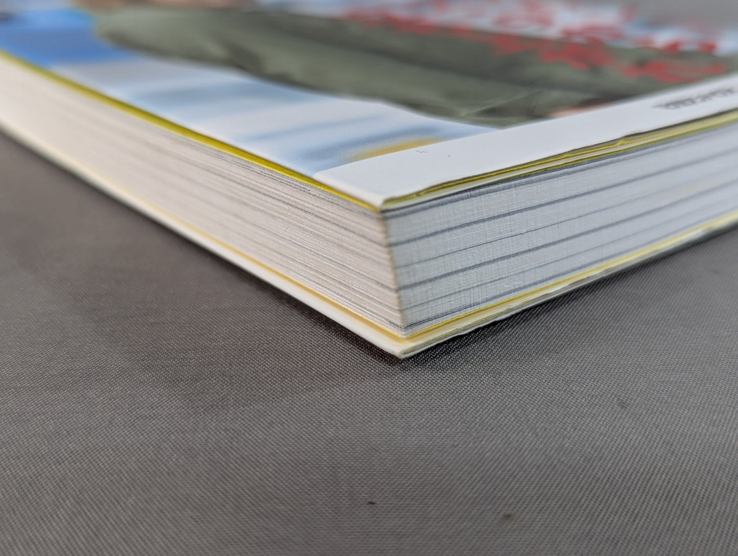 Rise from the count of 2 and 9, "revival power" from adversity