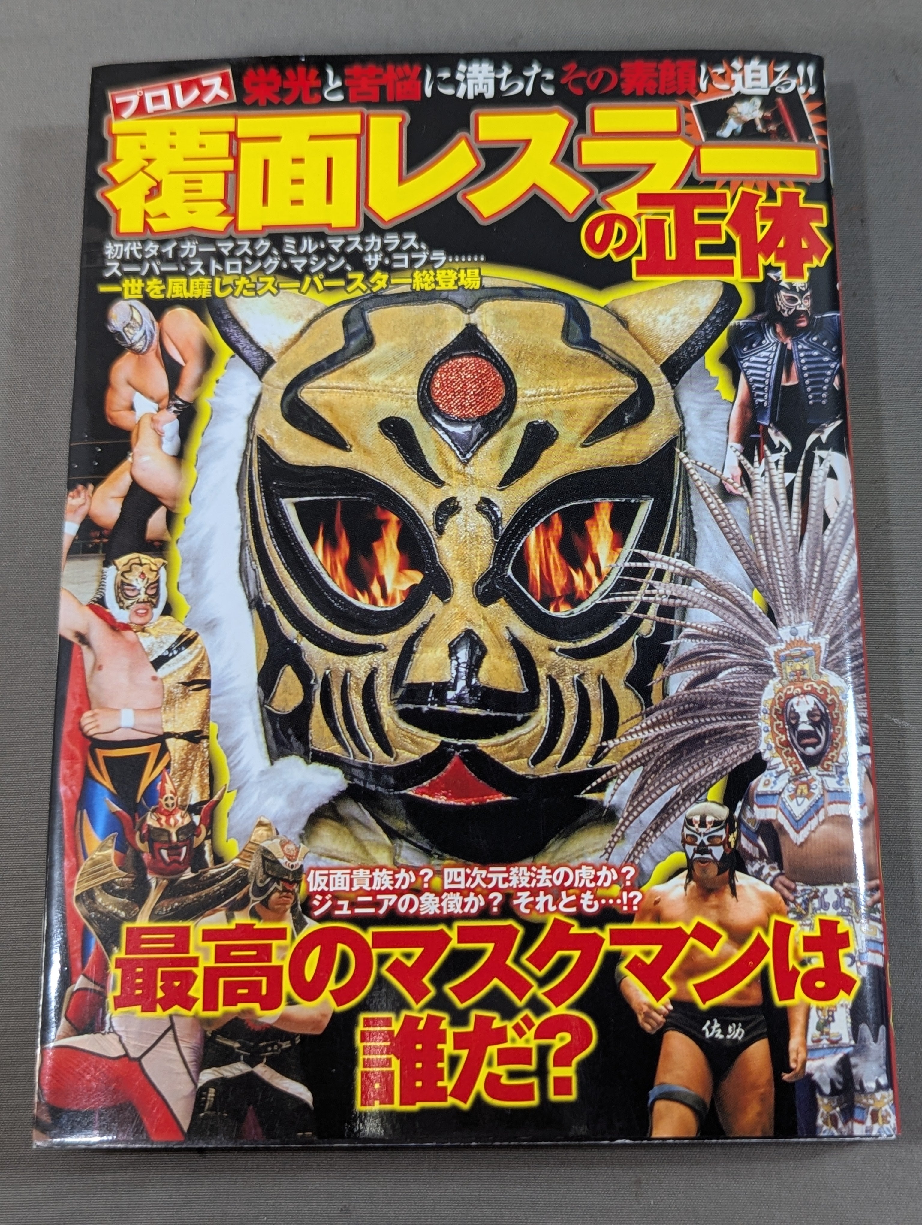 プロレス 覆面レスラーの正体 – 闘道館