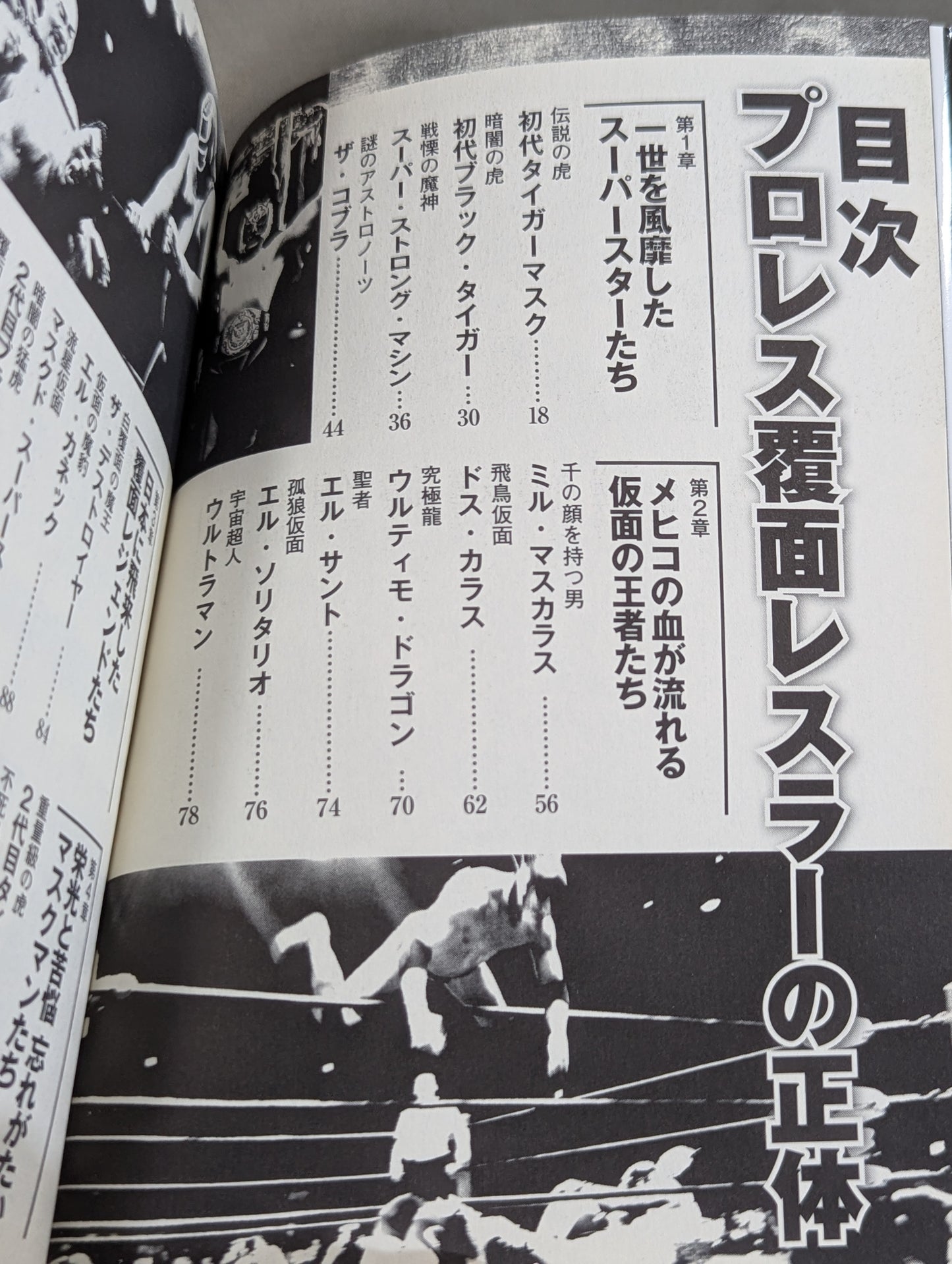 プロレス 覆面レスラーの正体