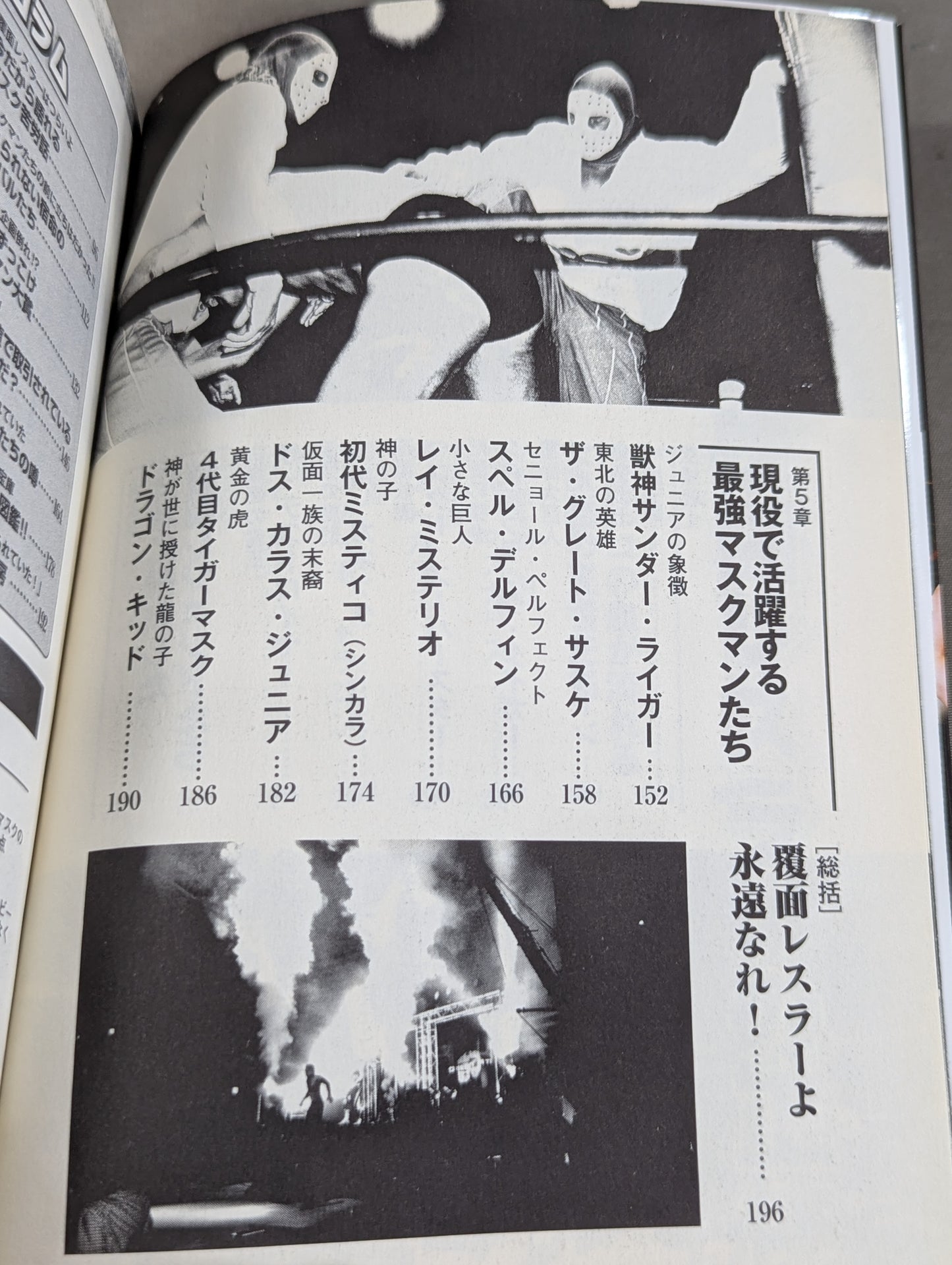 プロレス 覆面レスラーの正体