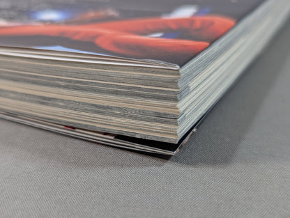 プロレス 覆面レスラーの正体