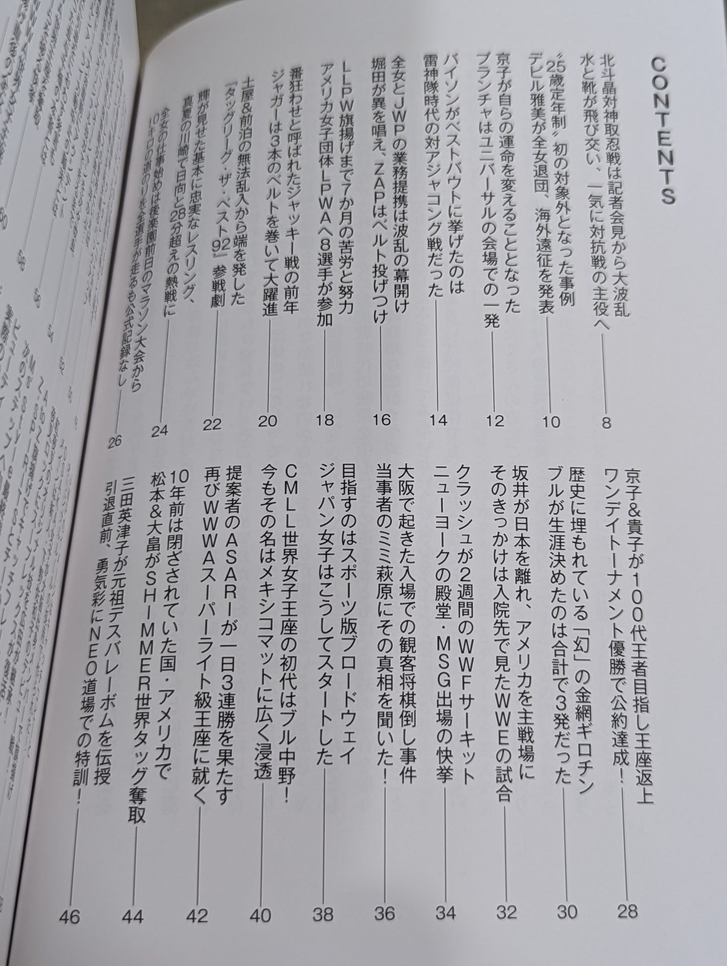 LADYRIN Playback Verification Historia