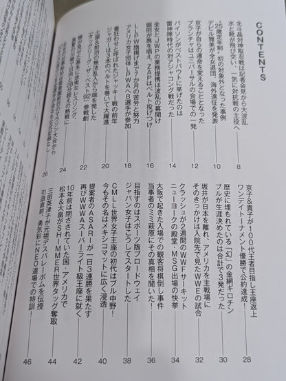 LADYRIN Playback Verification Historia