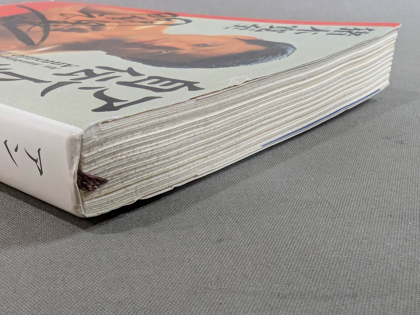 Antonio Inoki  Autobiography