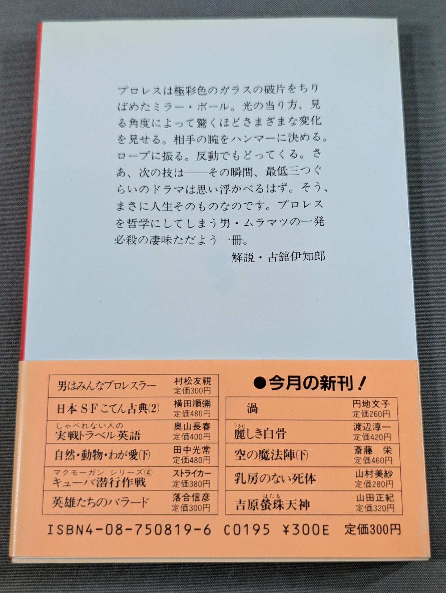 男はみんなプロレスラー