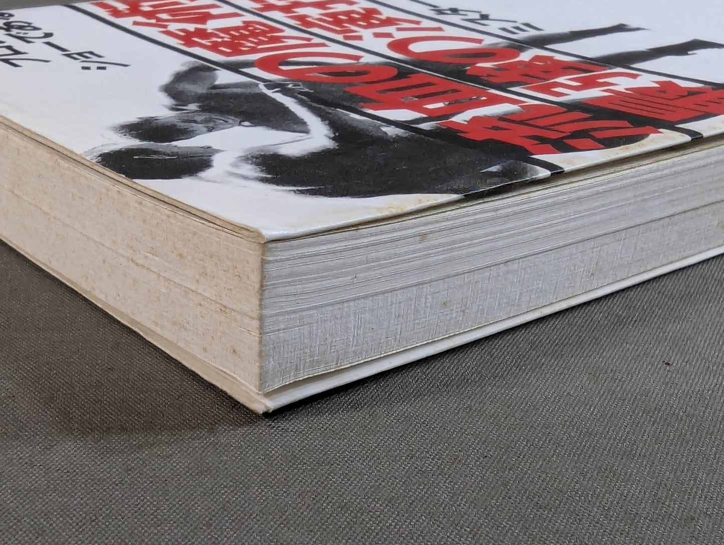 流血の魔術 最強の演技 すべてのプロレスはショーである