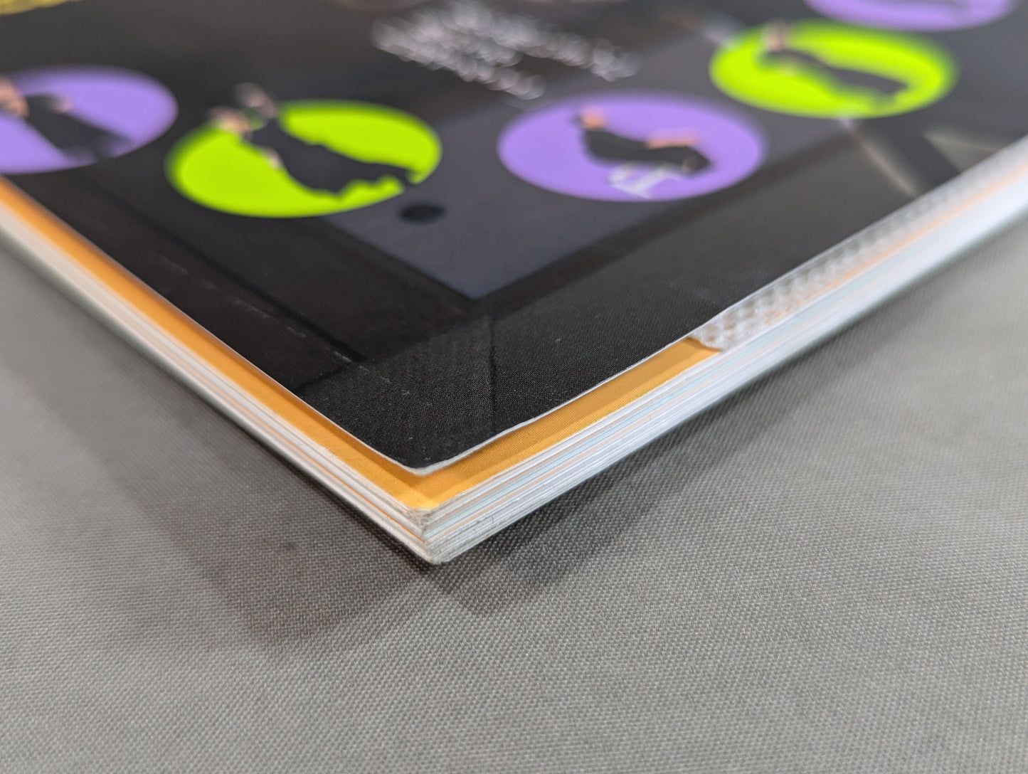 【DVD付】DVDでよくわかる! 甲野善紀のカラダの極意