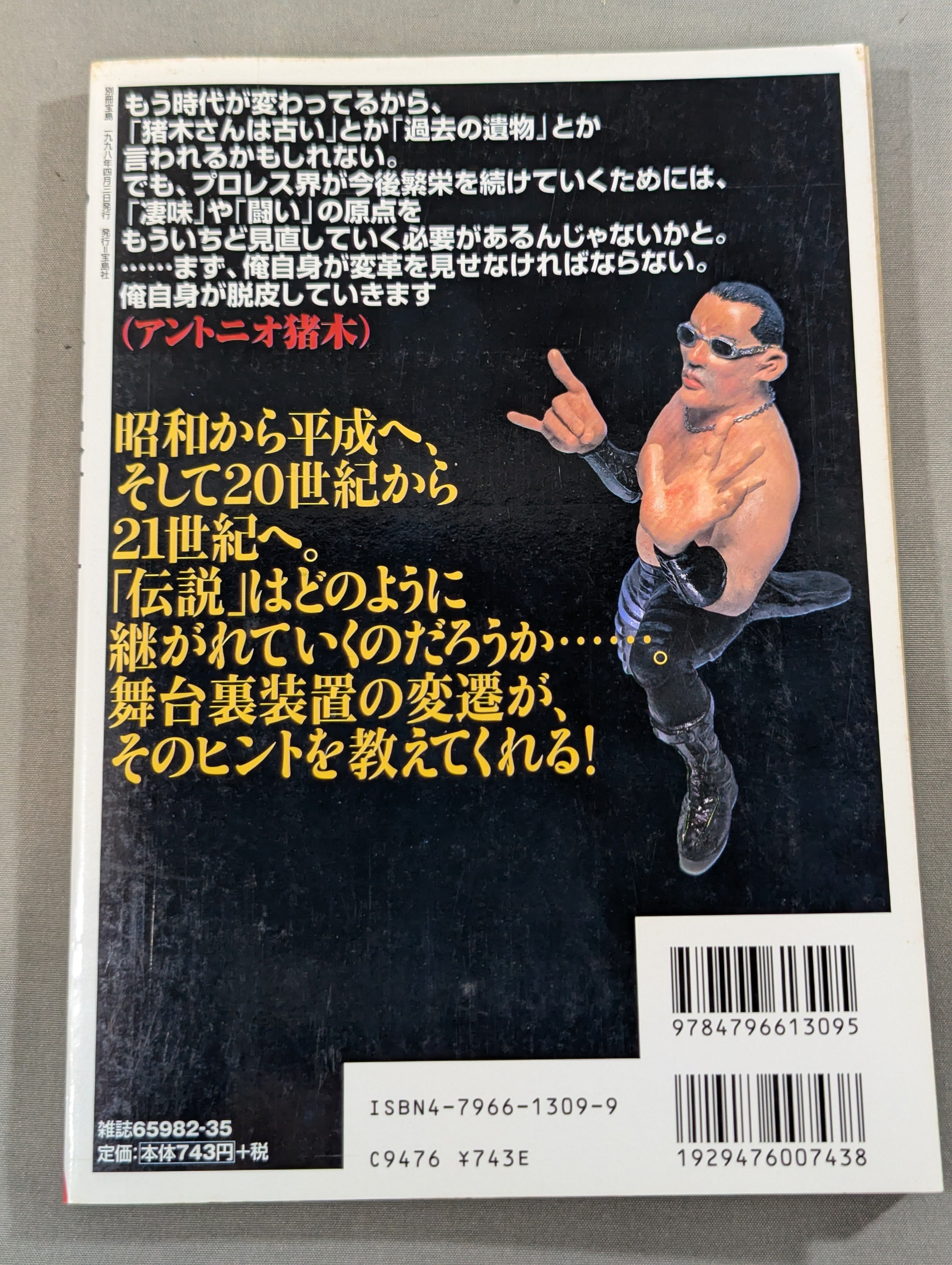 別冊宝島 特別編集 プロレス読本Files Vol.5 – 闘道館