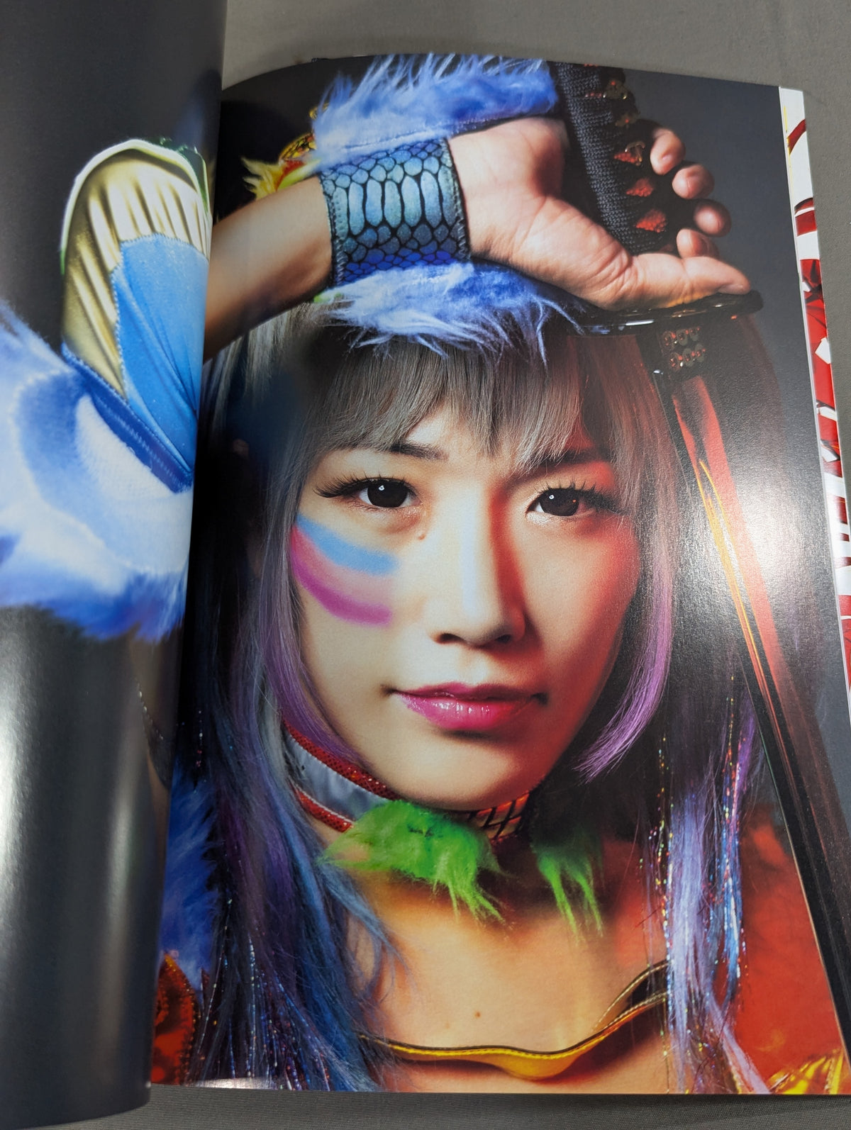 ウナギ・サヤカ 写真集 極彩人 GOKUSAIBITO