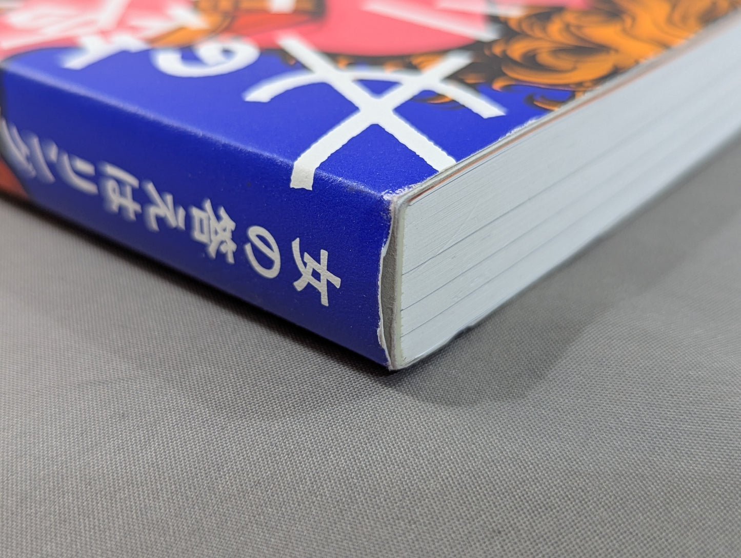 女の答えはリングにある  女子プロレスラー10人に話を聞きに行って考えた「強さ」のこと