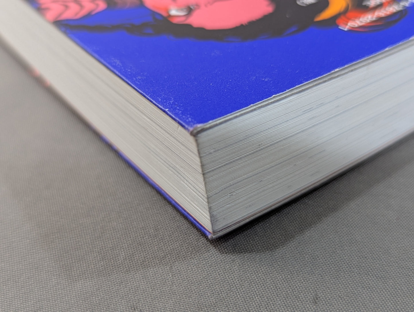 女の答えはリングにある  女子プロレスラー10人に話を聞きに行って考えた「強さ」のこと