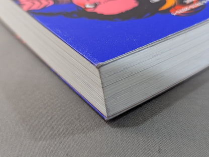 女の答えはリングにある  女子プロレスラー10人に話を聞きに行って考えた「強さ」のこと