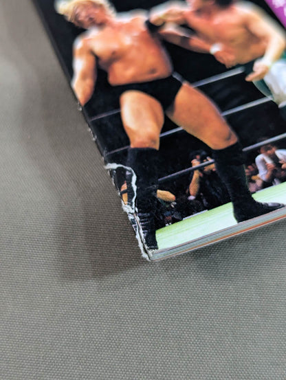 日本プロレス激闘60年史 (7)