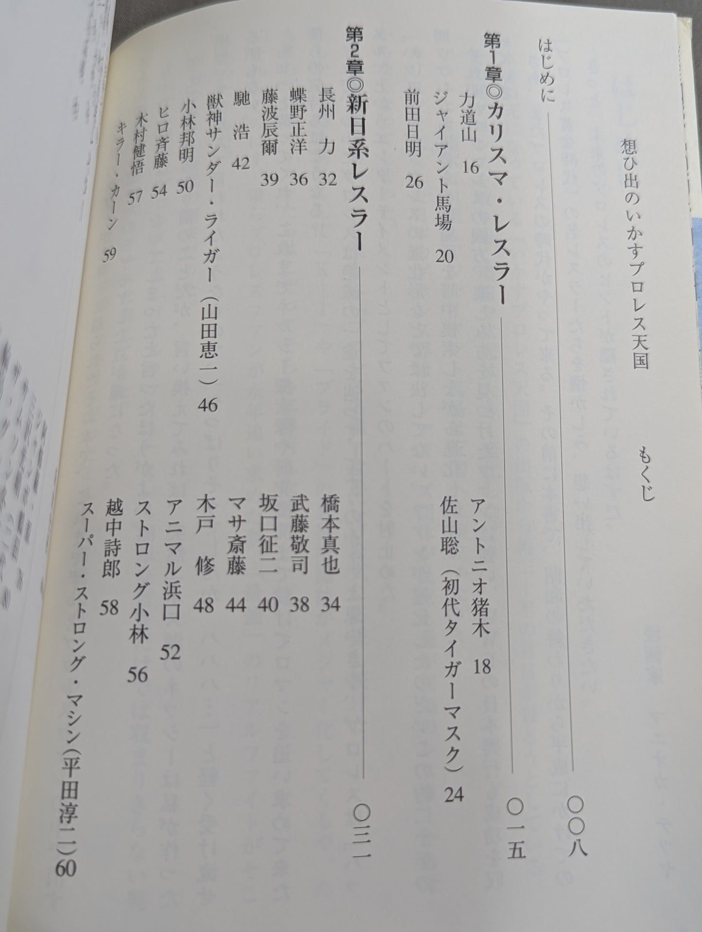 想ひ出のいかすプロレス天国