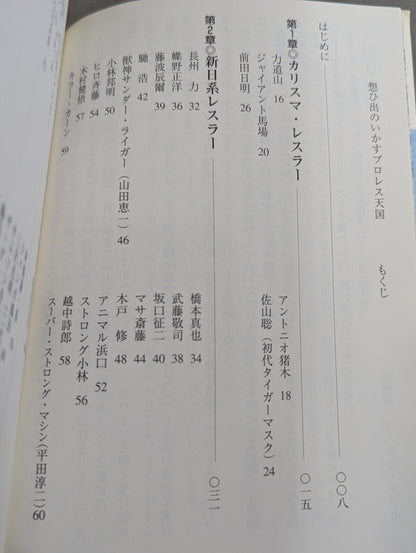 想ひ出のいかすプロレス天国