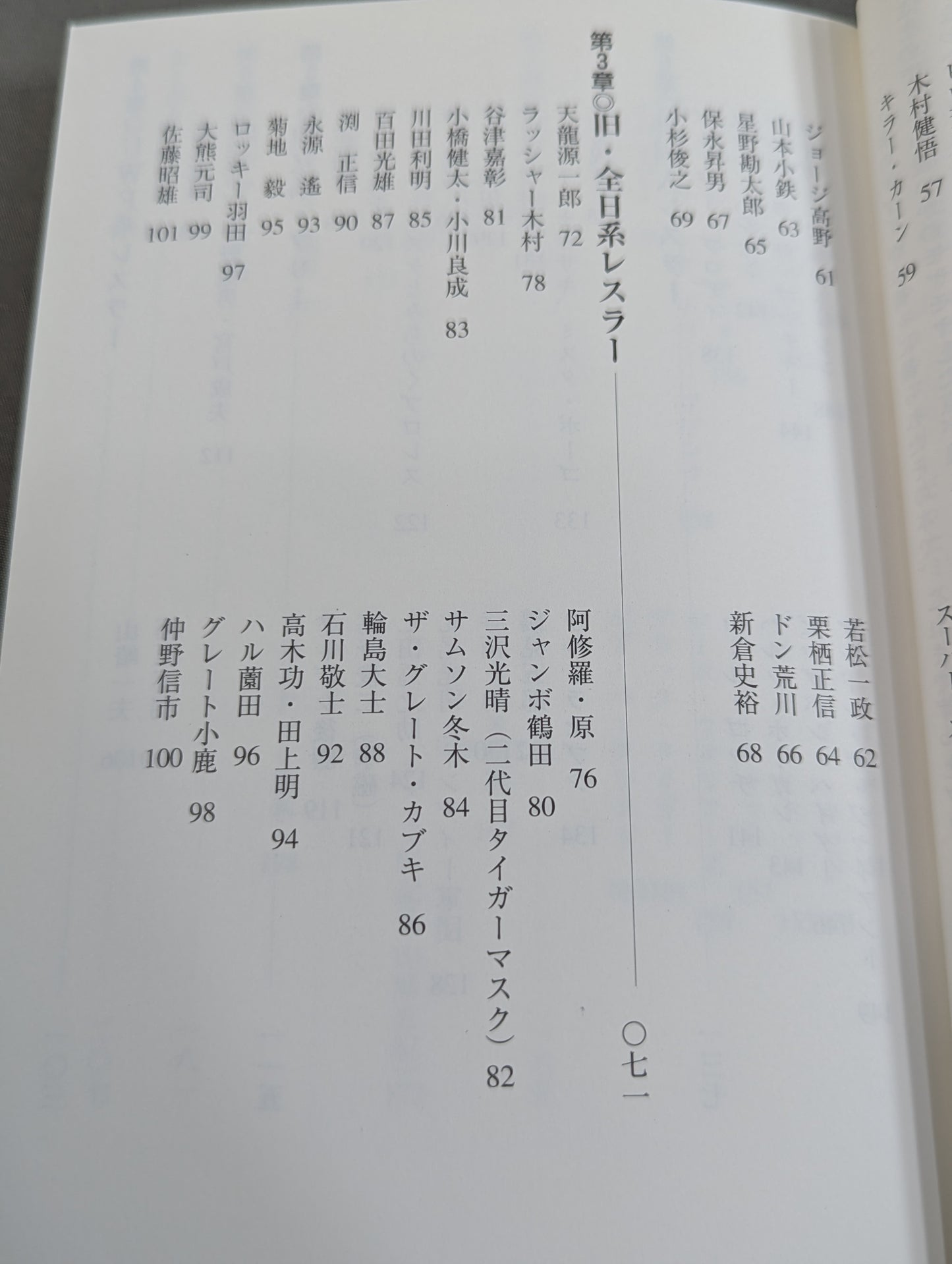 想ひ出のいかすプロレス天国