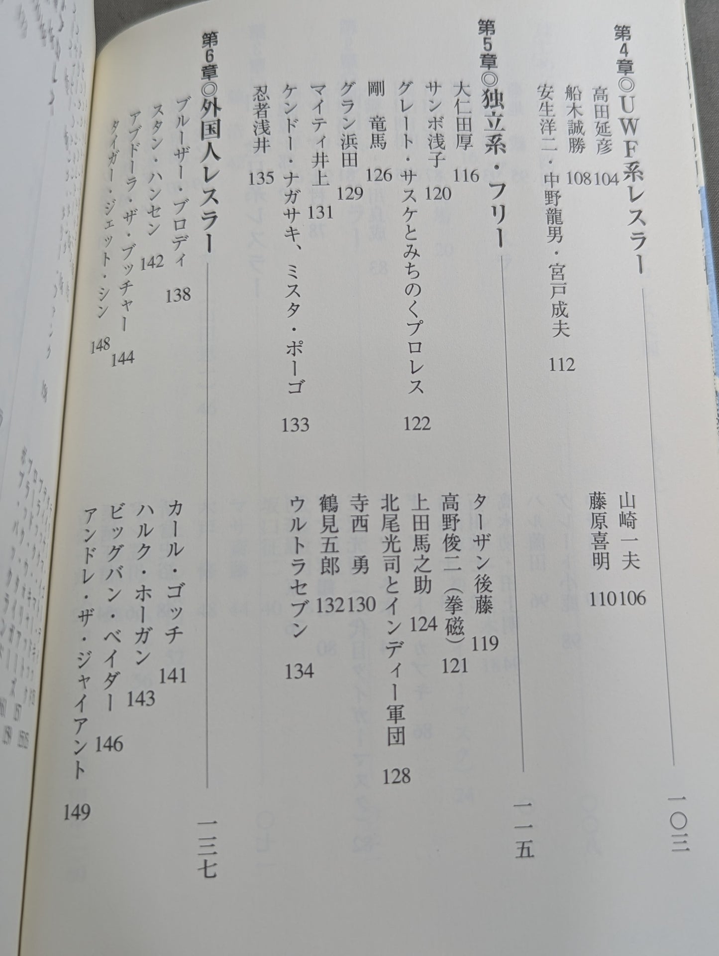 想ひ出のいかすプロレス天国