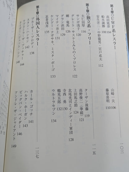 想ひ出のいかすプロレス天国
