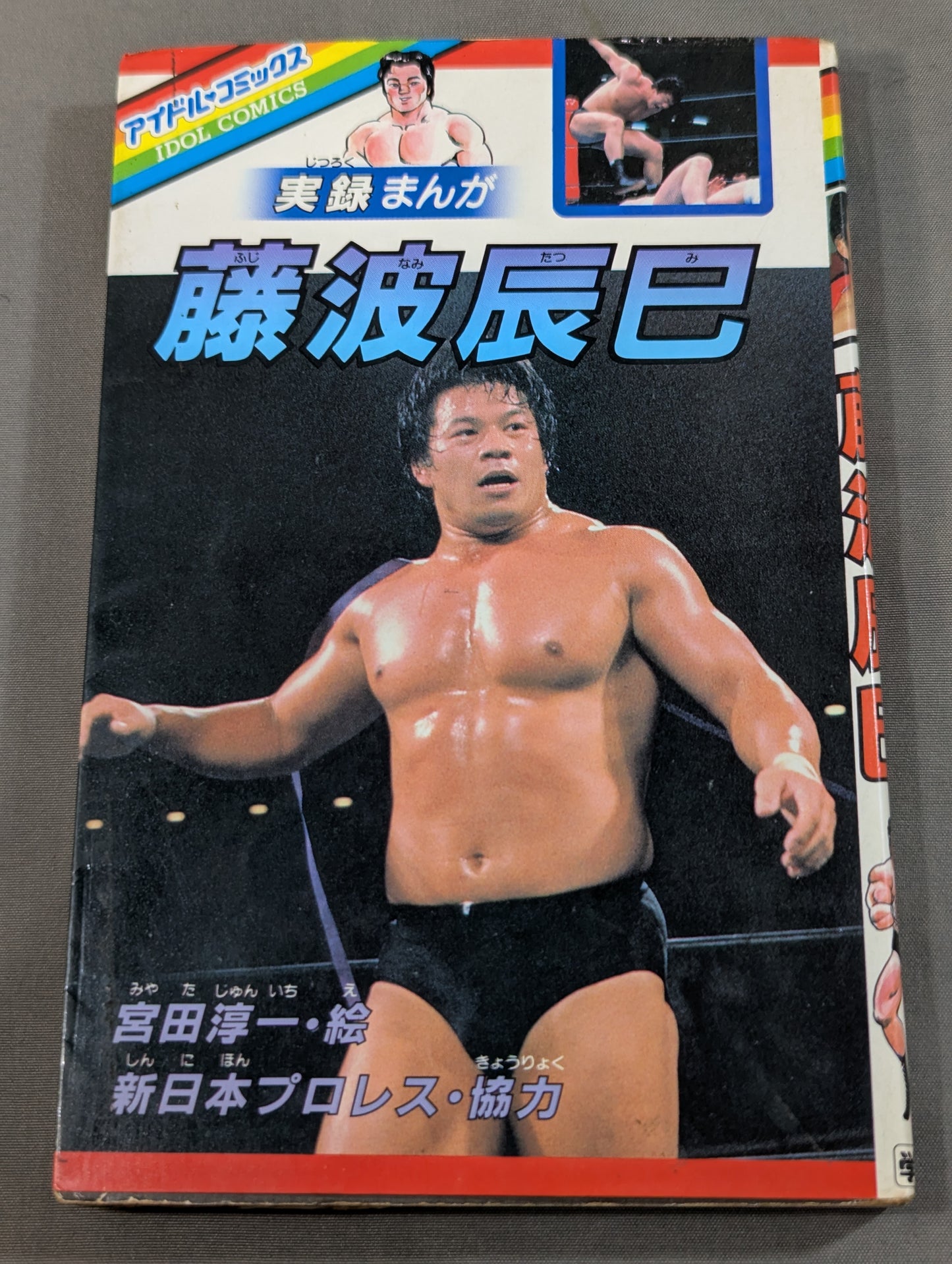 Chronicles Manga Tatsumi Fujinami