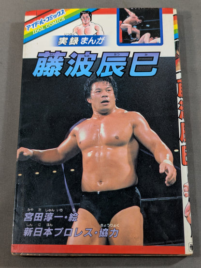 Chronicles Manga Tatsumi Fujinami