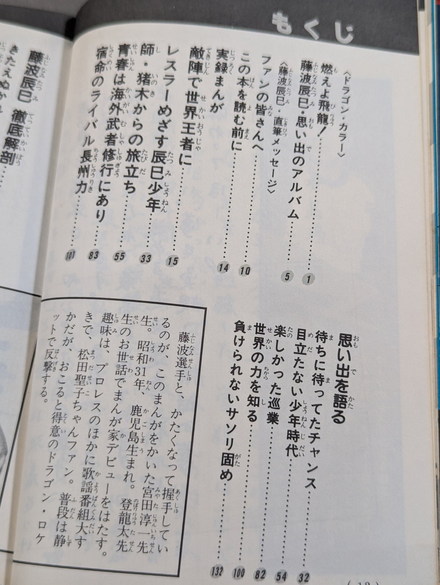 Chronicles Manga Tatsumi Fujinami