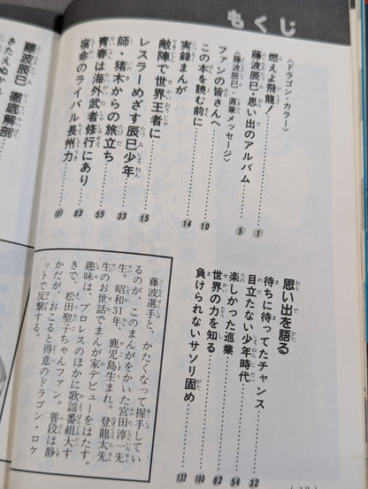 Chronicles Manga Tatsumi Fujinami