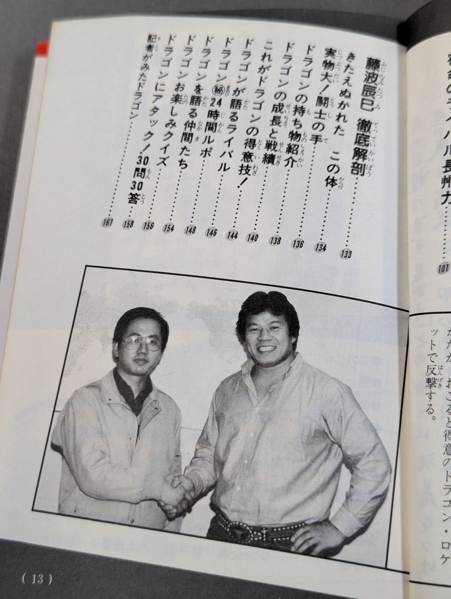 Chronicles Manga Tatsumi Fujinami