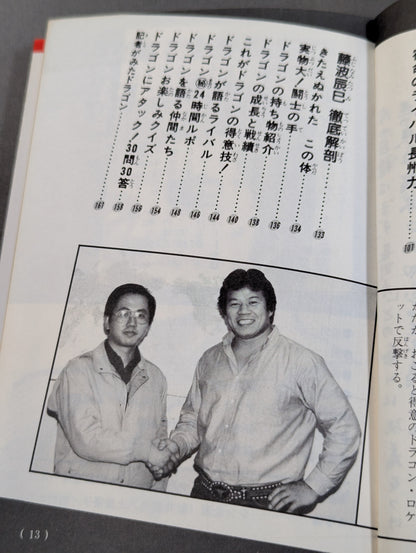 Chronicles Manga Tatsumi Fujinami