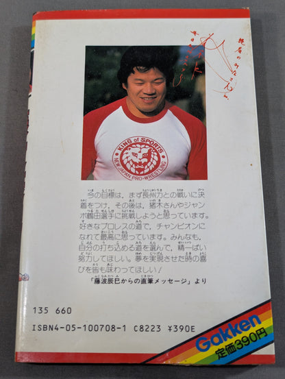 Chronicles Manga Tatsumi Fujinami