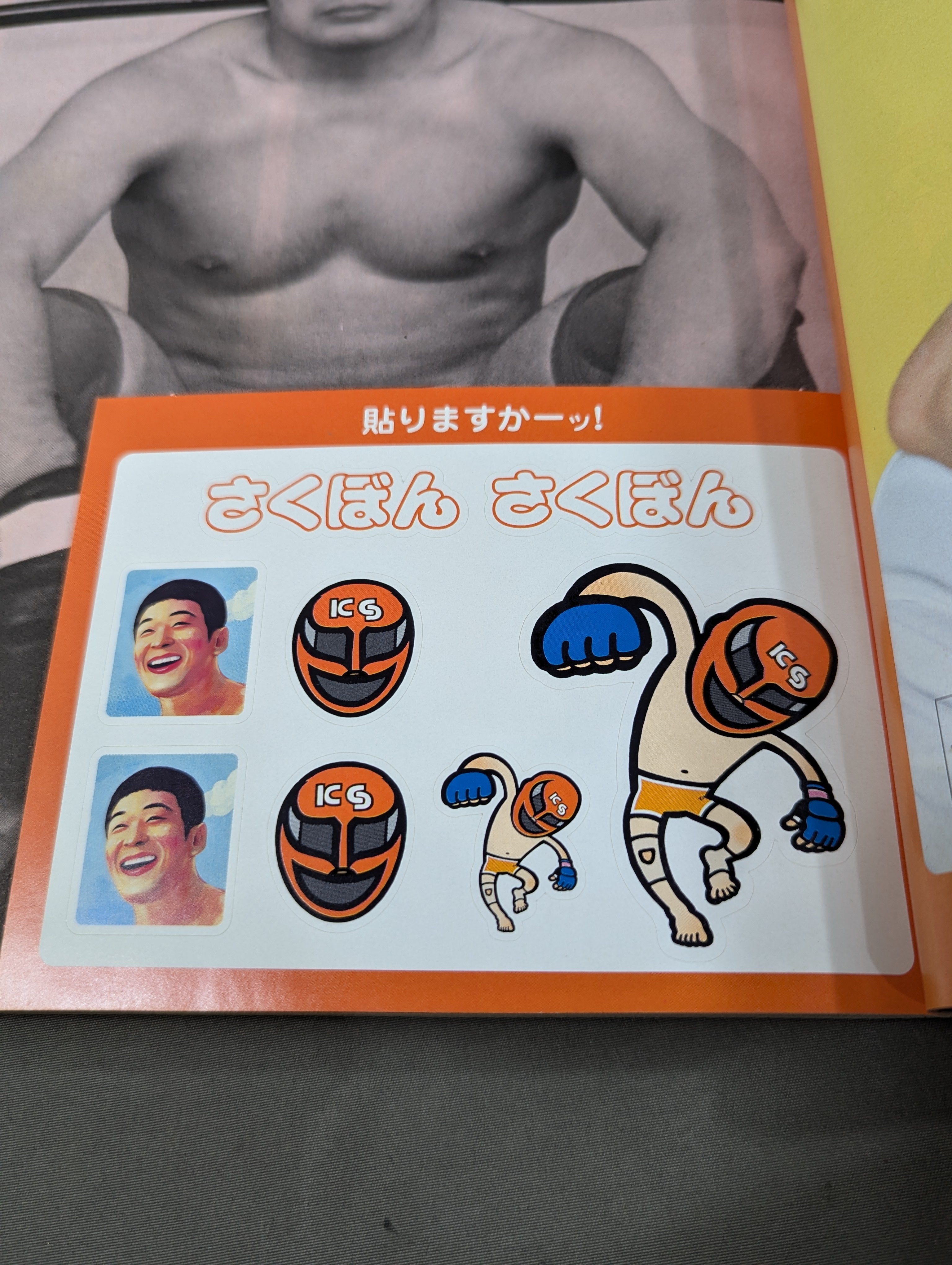 さくぼん 桜庭和志公式マガジン – 闘道館