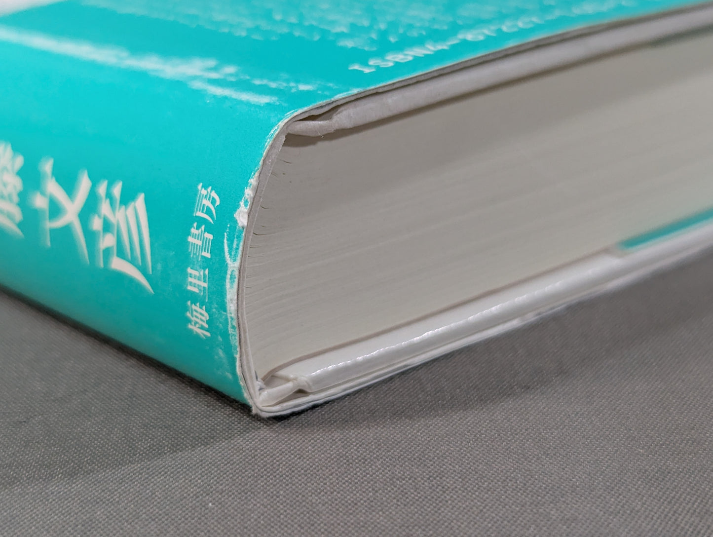 ボーイズはボーイズ とっておきのプロレスリング・コラム