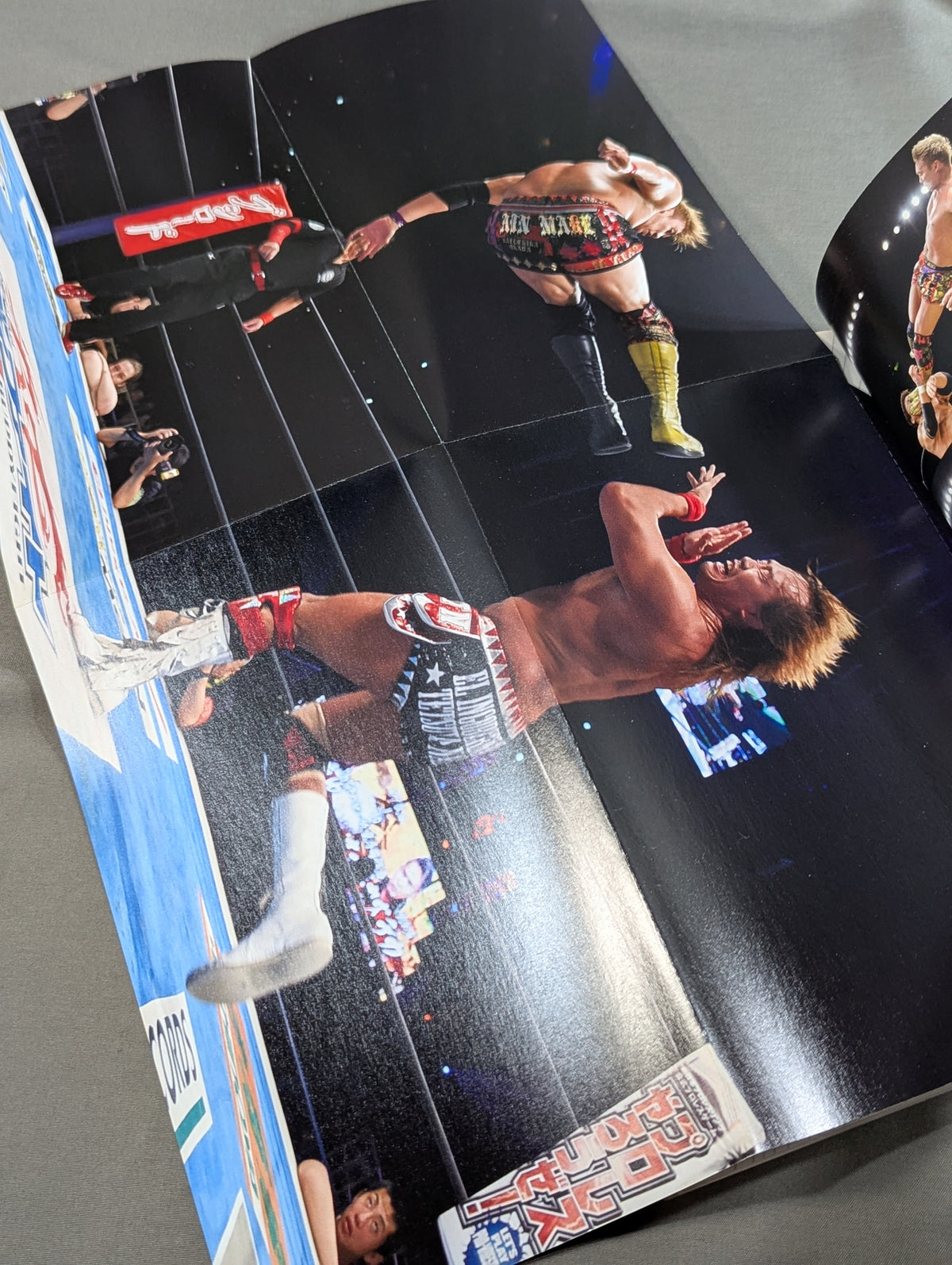 別冊カドカワ 総力特集 新日本プロレス2016→2017