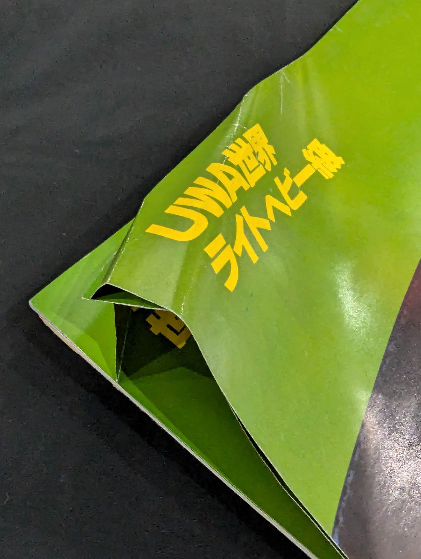 ☆実物大☆ 栄光の輝き プロレスチャンピオンベルト – 闘道館