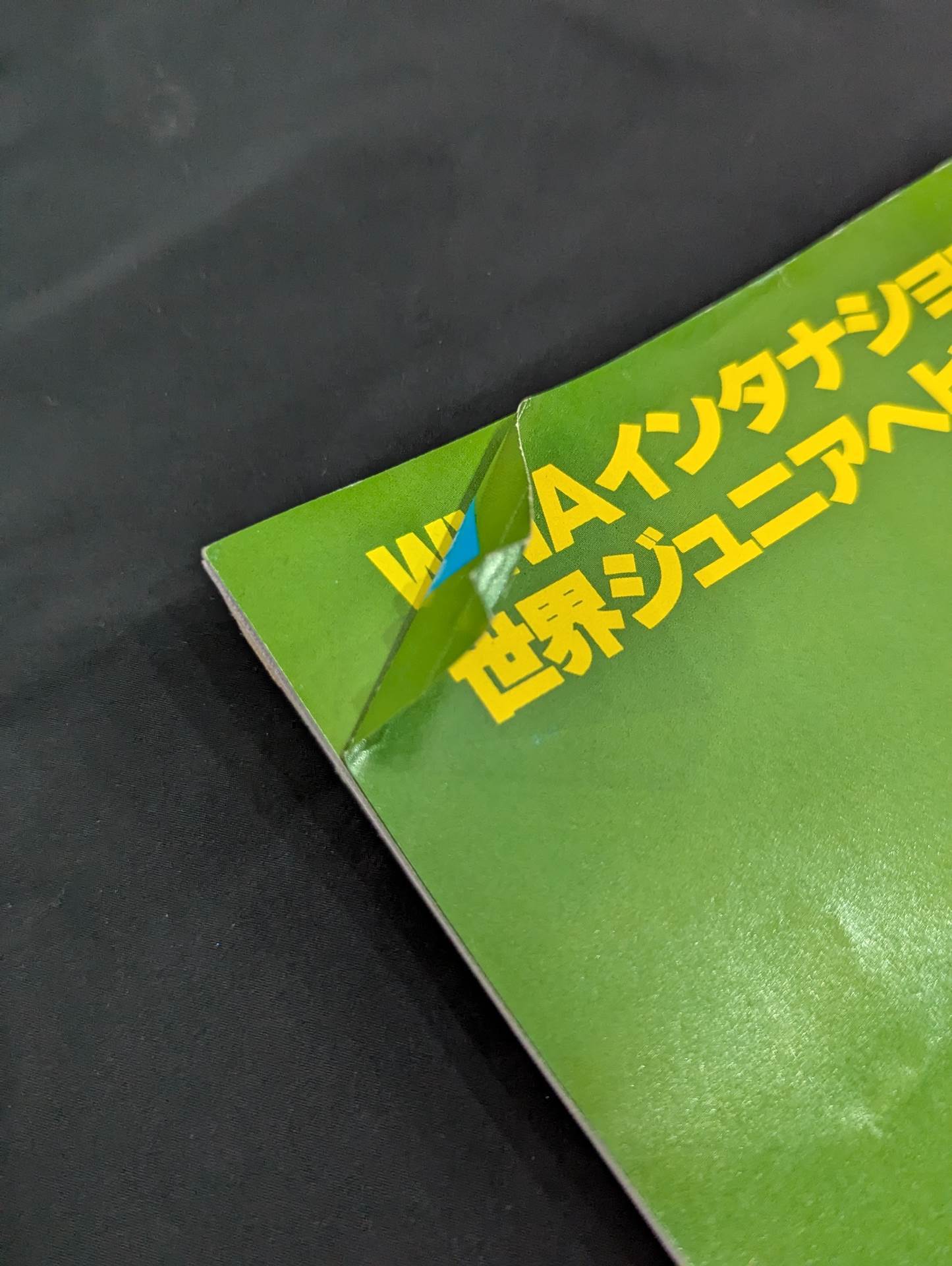 栄光の輝き プロレスチャンピオンベルト ベースボールマガジン社 プロレス編集部編 栄光の輝き プロレスチャンピオンベルト ベースボールマガジン社