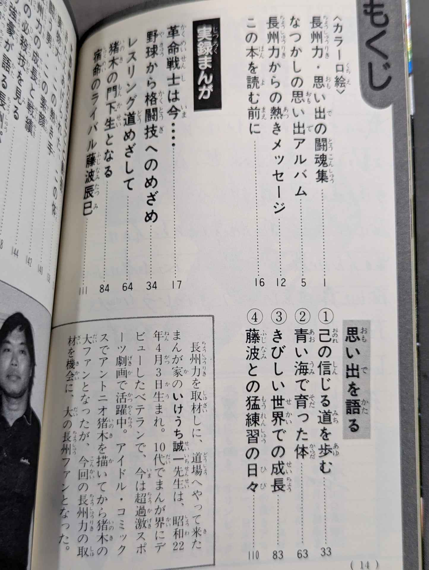 True story manga Riki Choshu