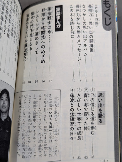 True story manga Riki Choshu