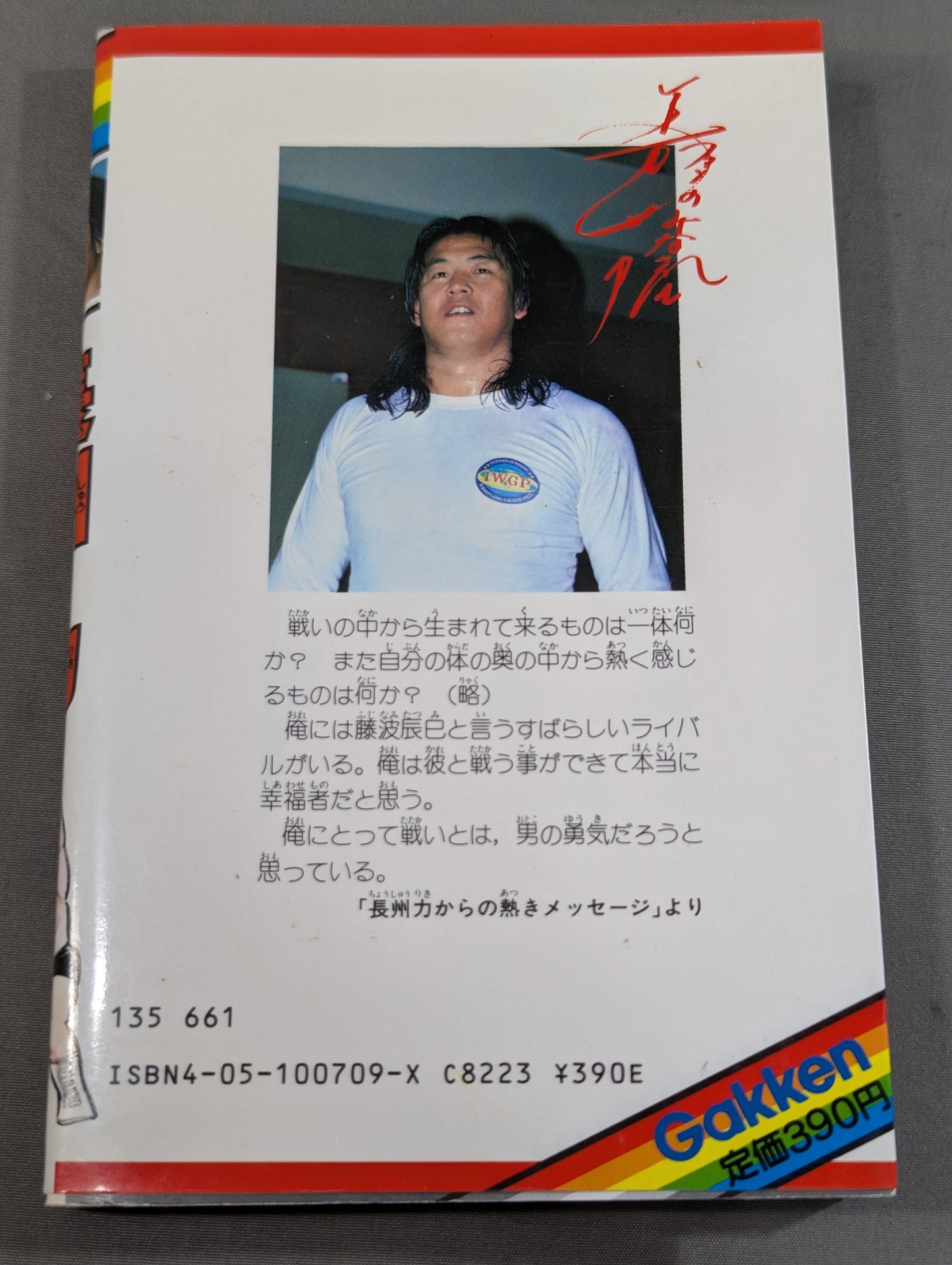 True story manga Riki Choshu