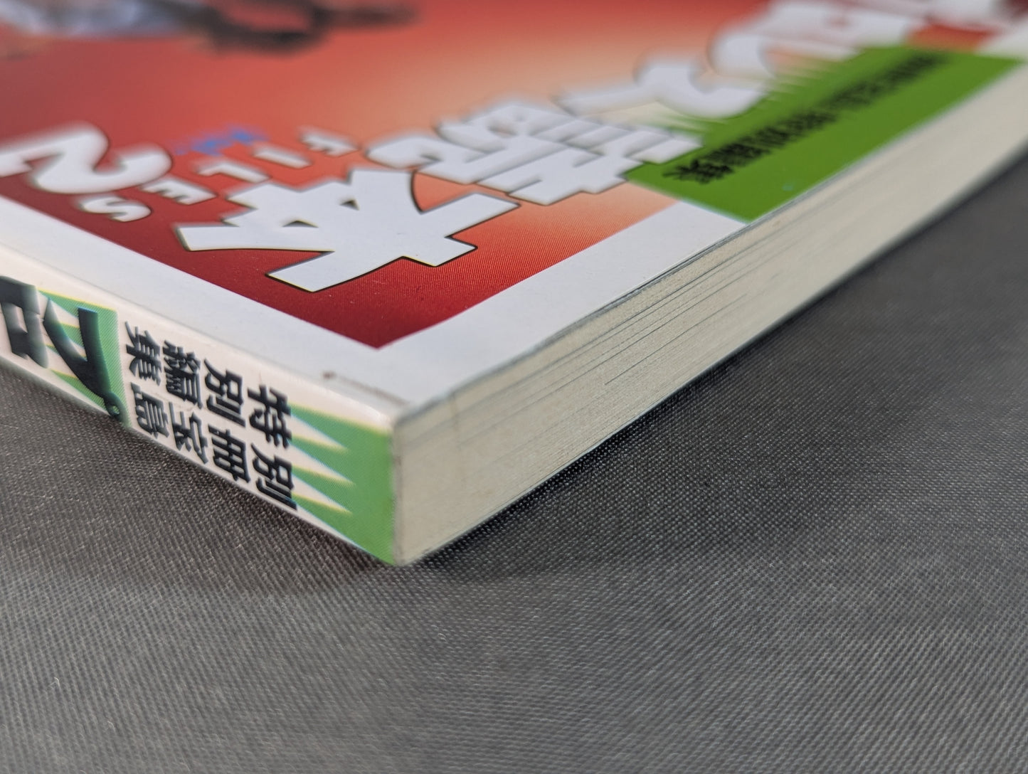Bessatsu Takarajima Special Edition Pro Wrestling  Reader Files Vol.2