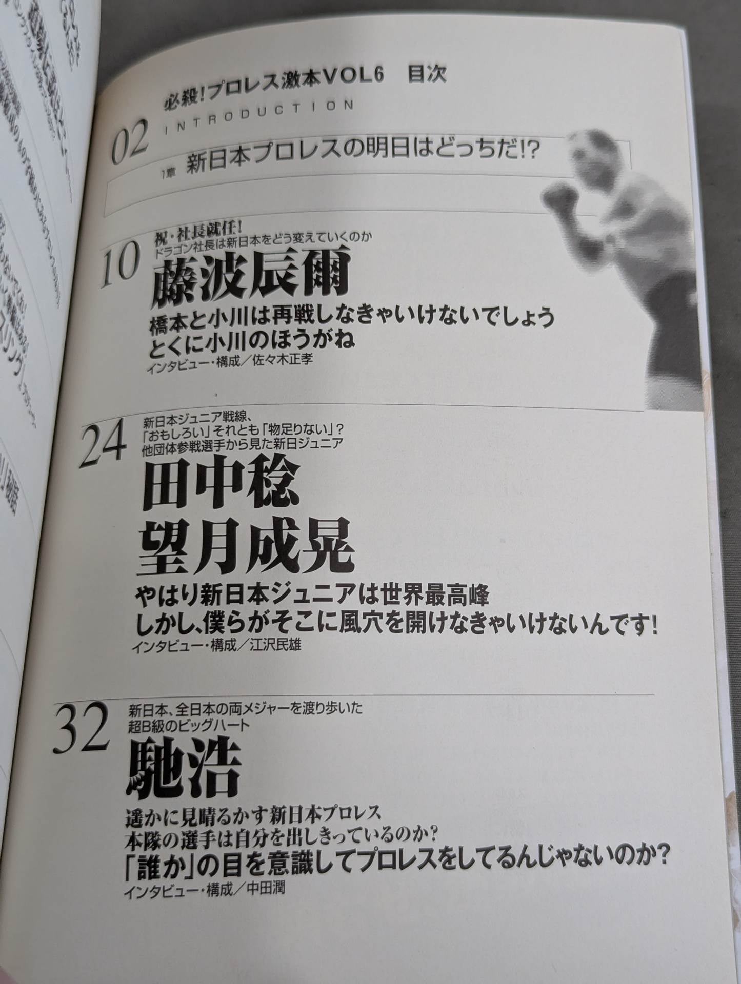 必殺！プロレス激本6 新日本プロレスの明日はどっちだ!?