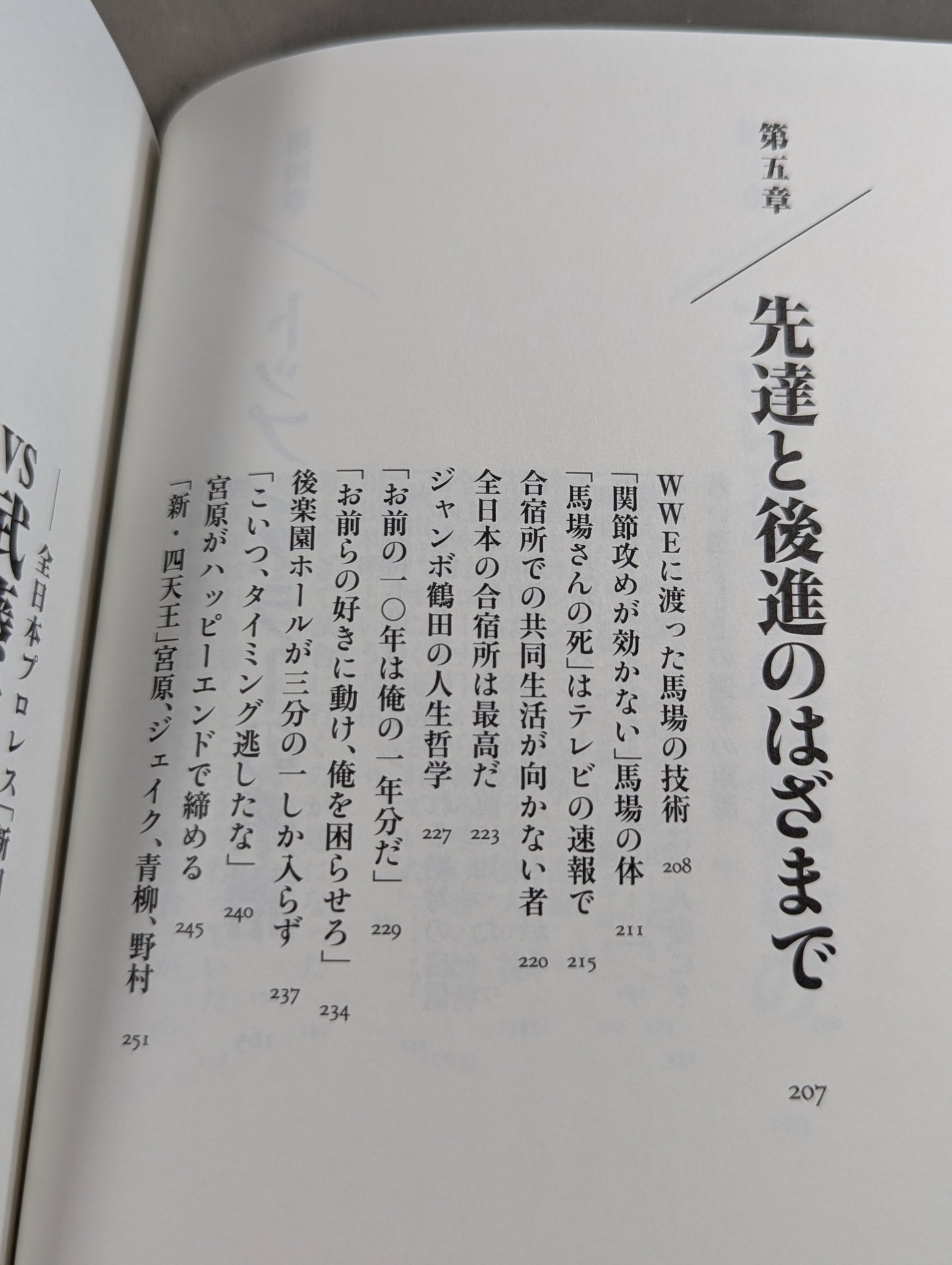 巨星を継ぐもの