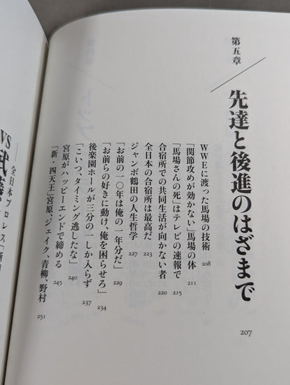 巨星を継ぐもの