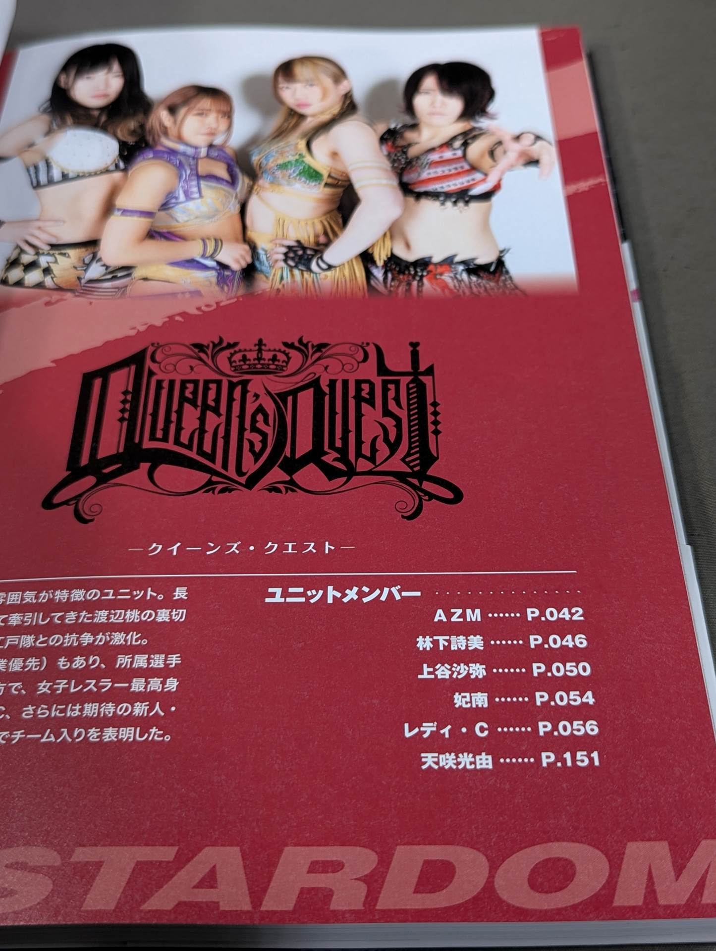 スターダム ファンブック / STARDOM FANBOOK